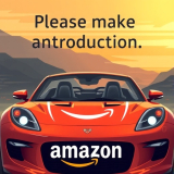 The Amazon Automotive category